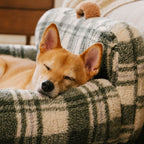 Canapé-lit pour chien et chat apaisant lavable à carreaux vintage