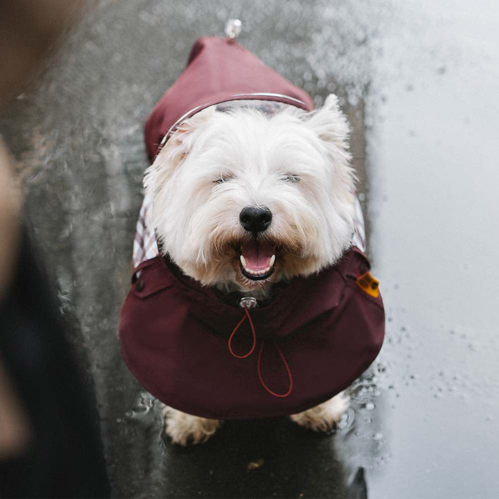 Imperméable ajustable pour chien à carreaux vintage protection contre les intempéries