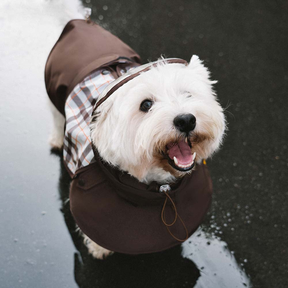 Imperméable ajustable pour chien à carreaux vintage protection contre les intempéries