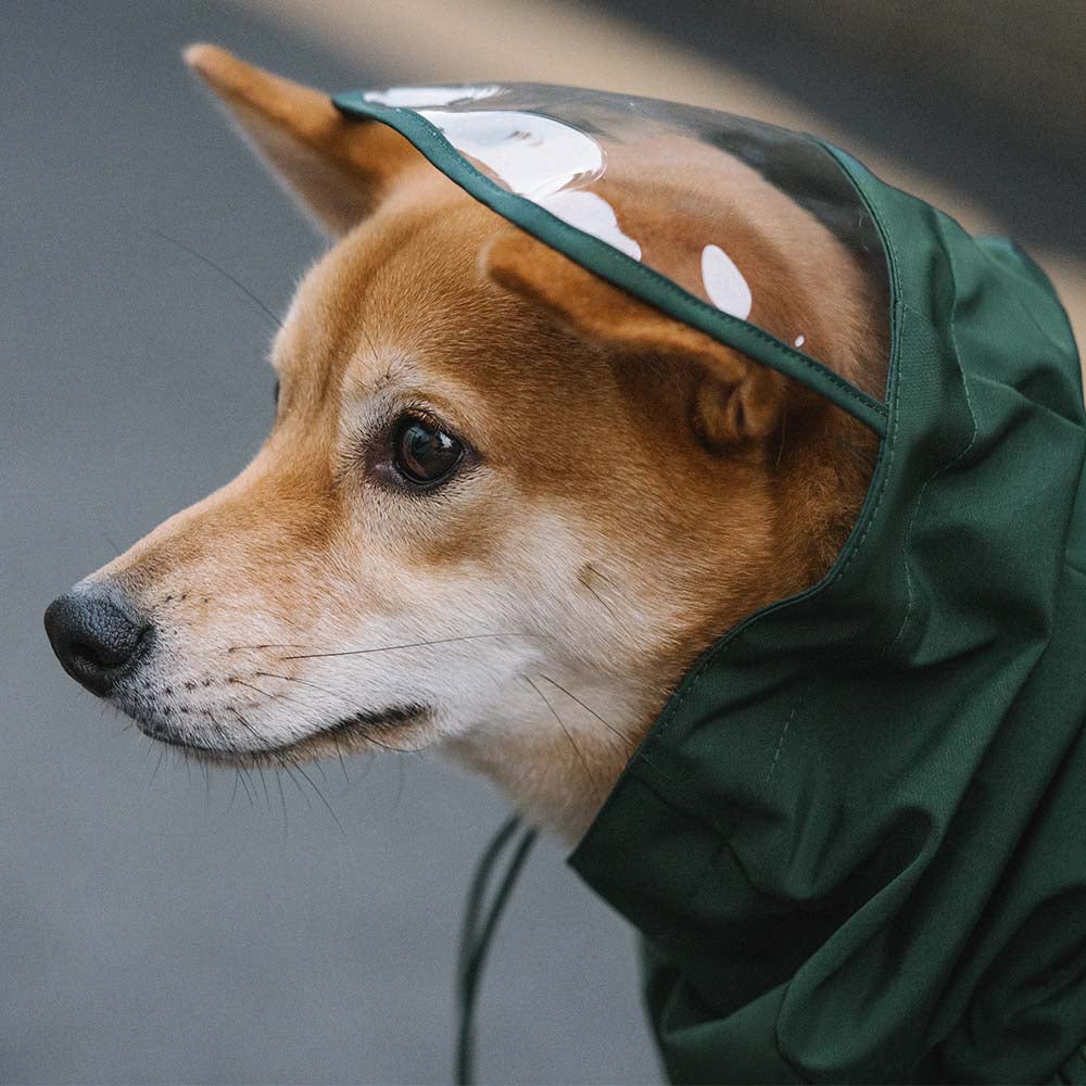 Imperméable ajustable pour chien à carreaux vintage protection contre les intempéries