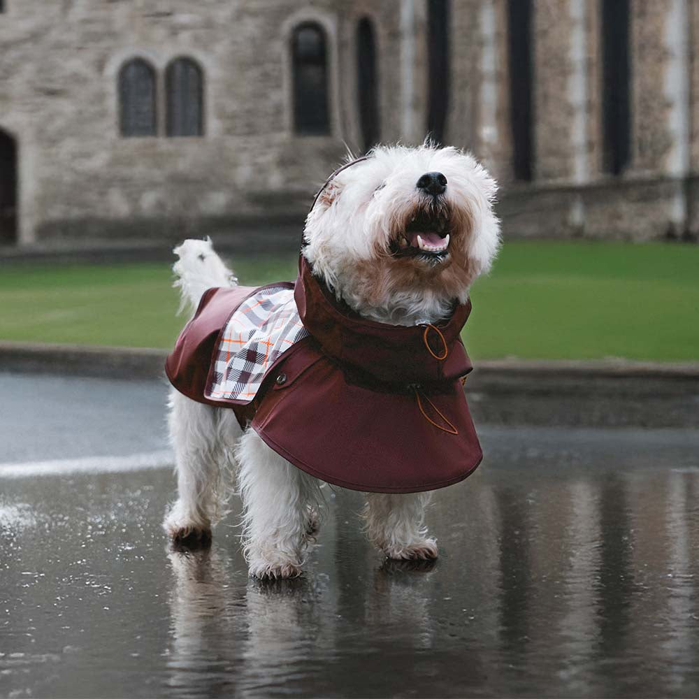Imperméable ajustable pour chien à carreaux vintage protection contre les intempéries