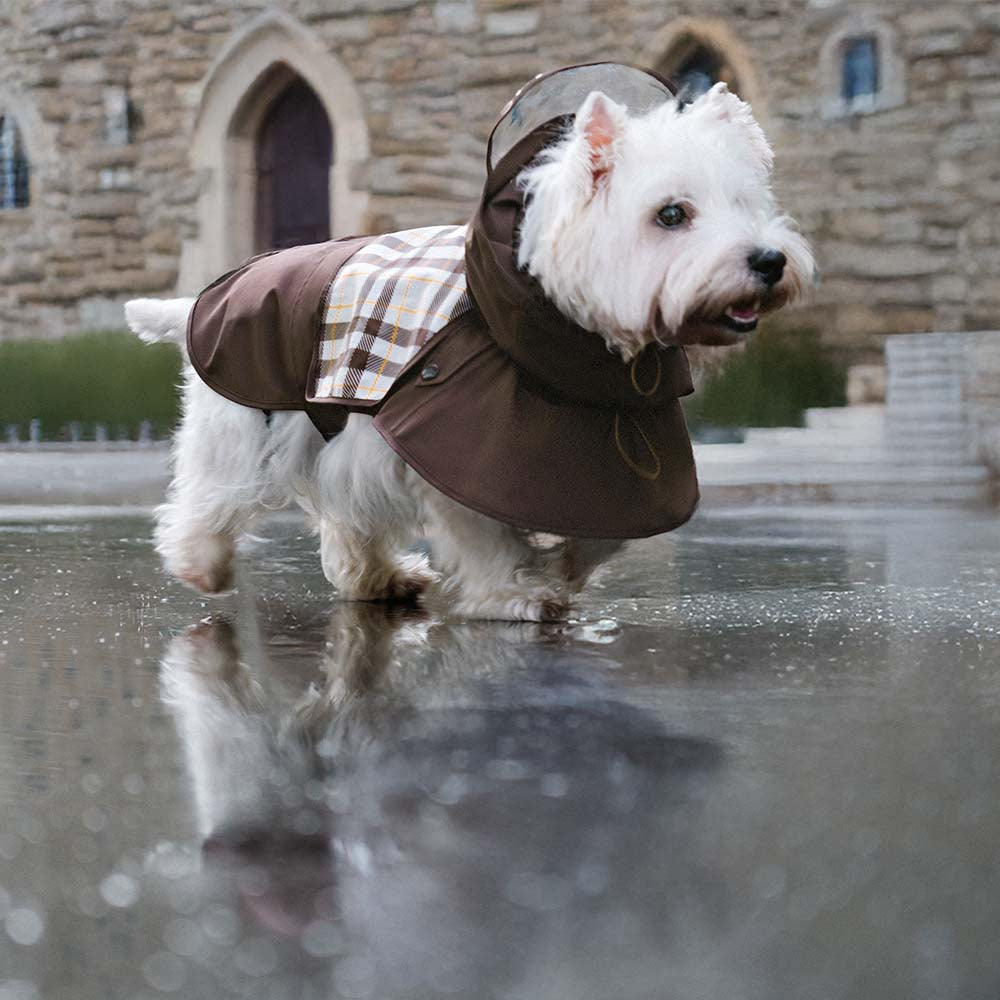 Imperméable ajustable pour chien à carreaux vintage protection contre les intempéries