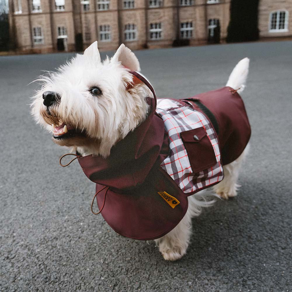 Imperméable ajustable pour chien à carreaux vintage protection contre les intempéries
