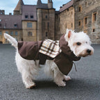 Imperméable ajustable pour chien à carreaux vintage protection contre les intempéries