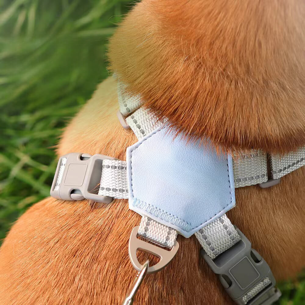 Harnais pour chien avec laisse respirant et sécurisé-Exclusif app
