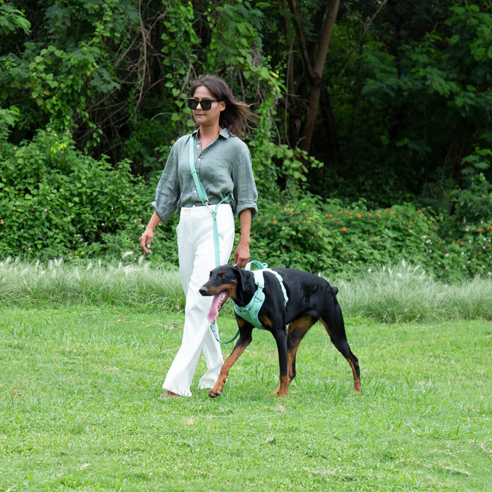 Laisse pour chien en caoutchouc-Exclusif app-Exclusif app