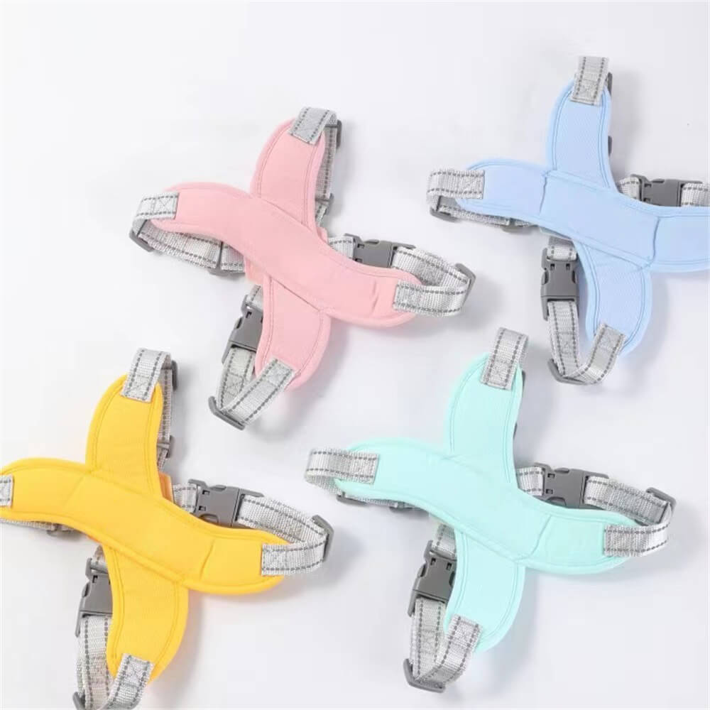 Harnais pour chien avec laisse respirant et sécurisé-Exclusif app
