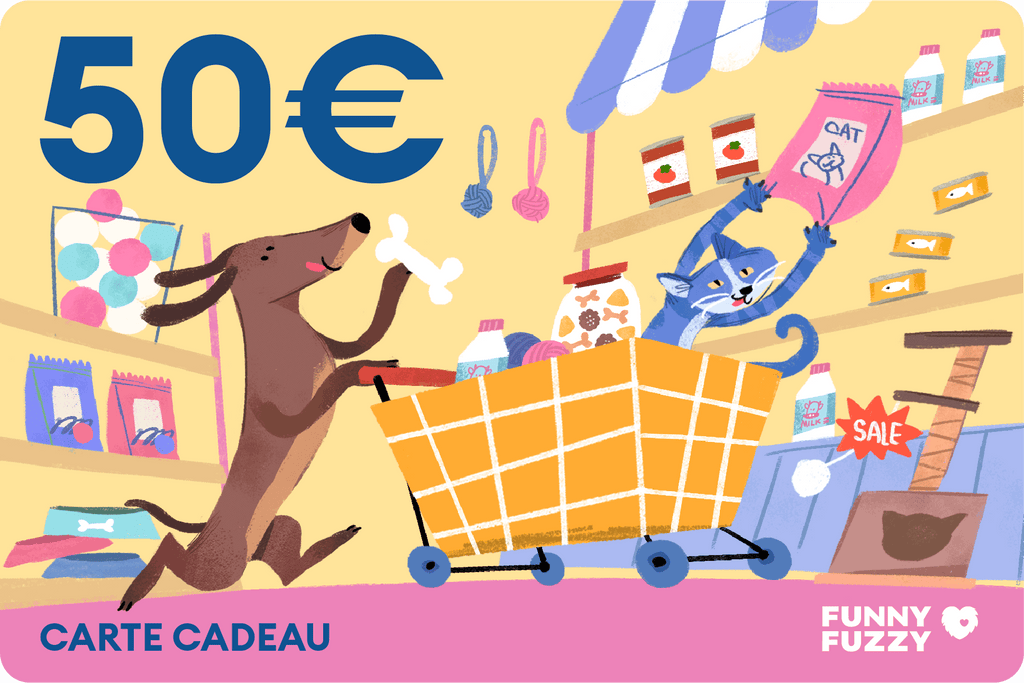 FunnyFuzzy Carte Cadeau 2025