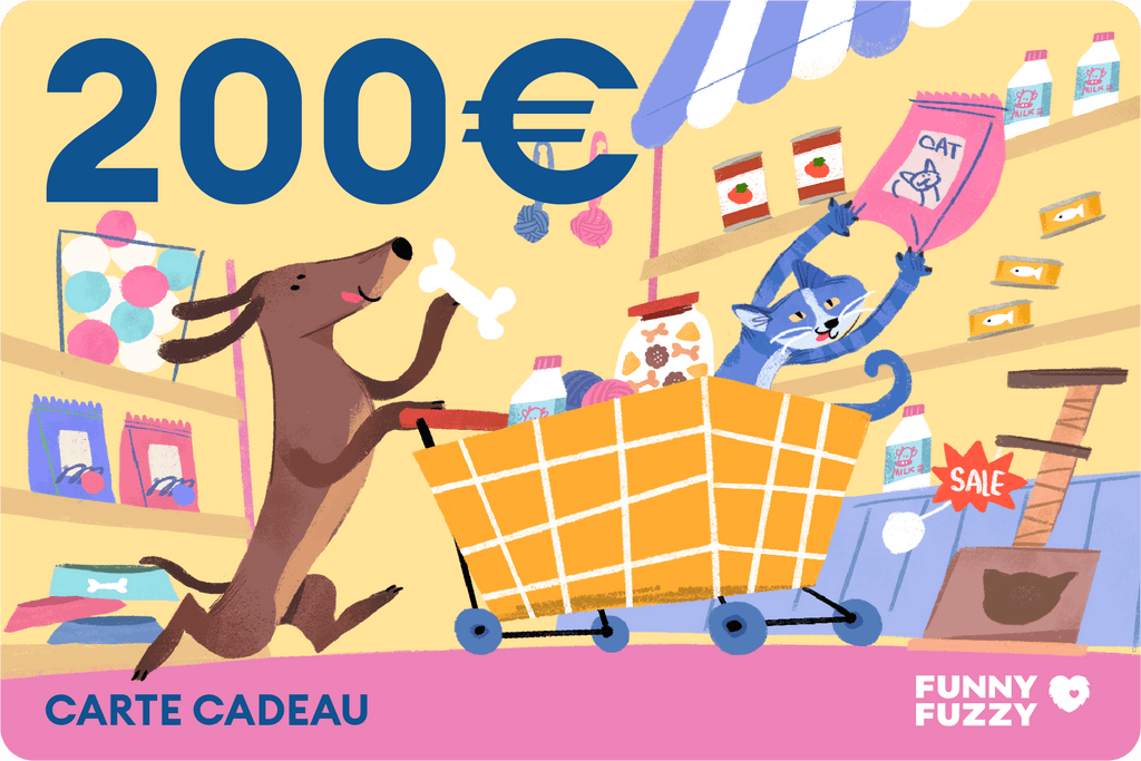 FunnyFuzzy Carte Cadeau 2025