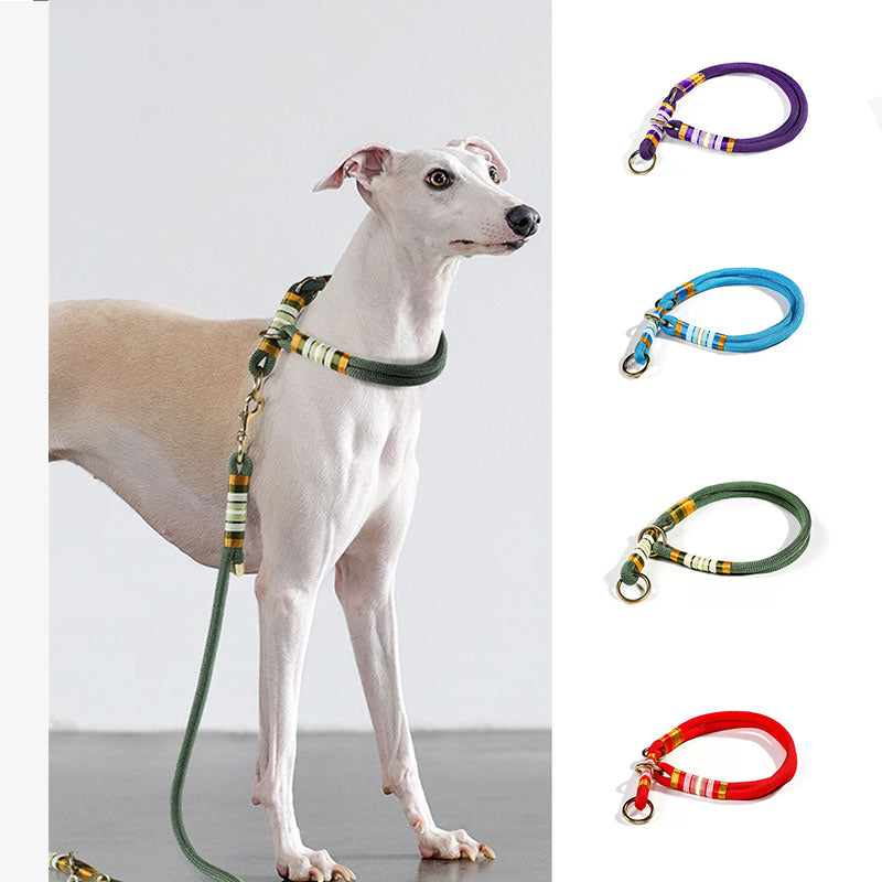 Collier de dressage pour chien en corde tressée main-Exclusif app