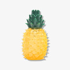 Jouet à mâcher en caoutchouc rempli d’eau forme fruit gelé pour chiens-Exclusif app