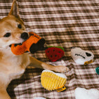 Coffret de jouets en édition limitée FUNNYFUZZY