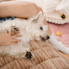 Housse de canapé en flanelle douce et respirante motif gaufre pour animaux confortable et cosy