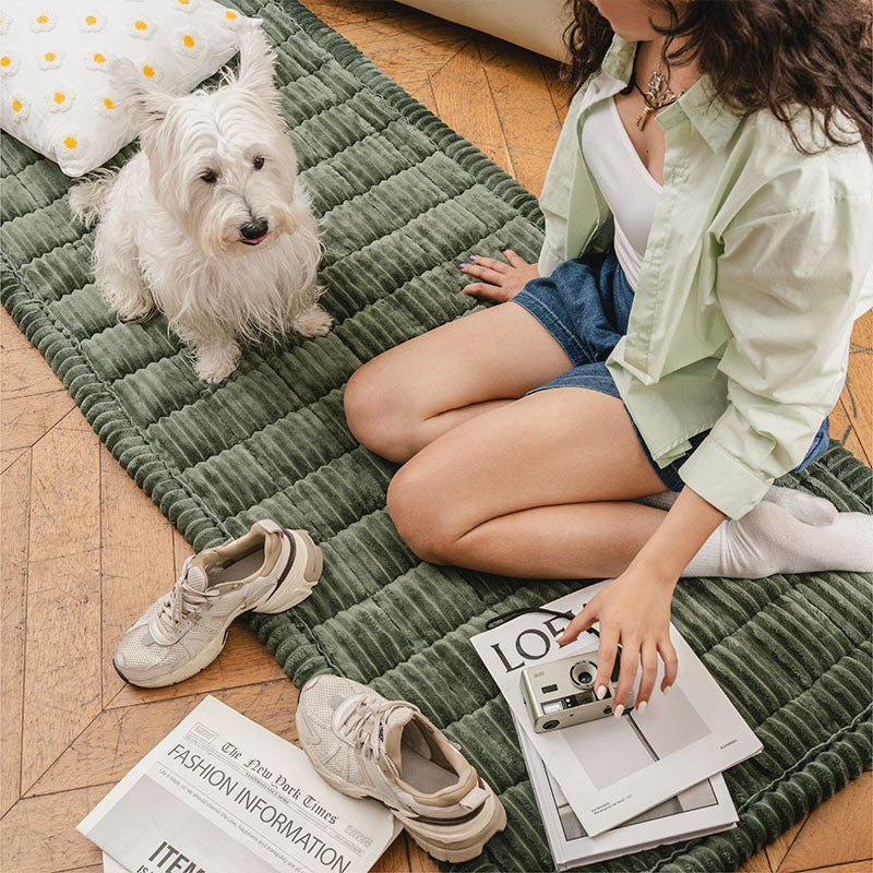 Housse de canapé en biscuits gaufrés flanelle douce et confortable avec tapis respirant pour animaux