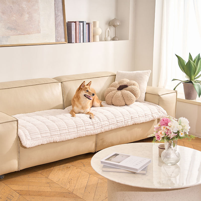 Housse de canapé en flanelle douce et respirante motif gaufre pour animaux confortable et cosy