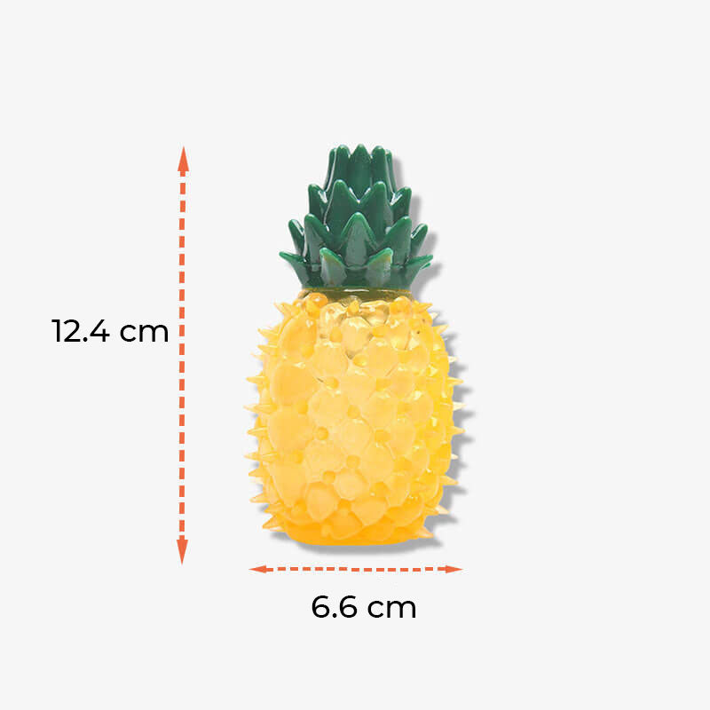 Jouet à mâcher en caoutchouc rempli d’eau forme fruit gelé pour chiens-Exclusif app